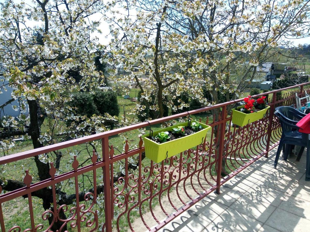 Homestay Strozowka Gorlice Kültér fotó